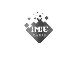 Logo IMIE