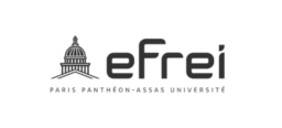 Logo EFREI